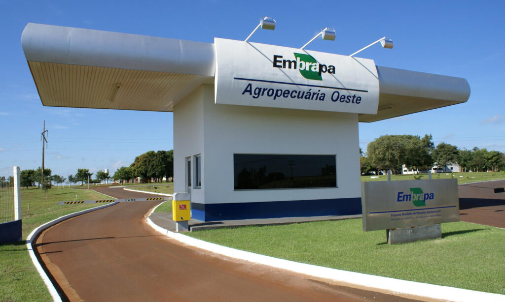 Concurso Embrapa: sua chance de ingressar na renomada empresa de pesquisa agropecuária