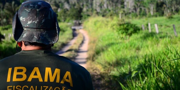 Chegou a hora de saber a nota de corte do Concurso Ibama para analista administrativo. Confira já!