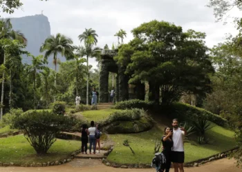 Editais divulgados para o Concurso Jardim Botânico RJ! Imagem: Agência Brasil