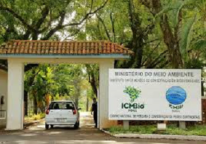 Confira os detalhes do próximo concurso do ICMBio