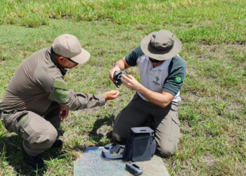A distribuição das vagas do Concurso ICMBio será feita de forma estratégica para atender às necessidades das unidades do ICMBio em todo o país. Imagem: Portal Gov. Br