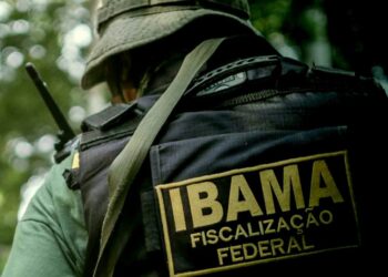 Profissional de costas com uniforme do Ibama
