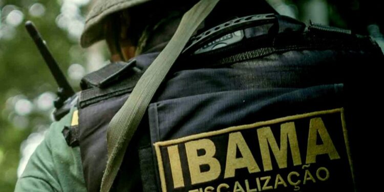 Profissional de costas com uniforme do Ibama