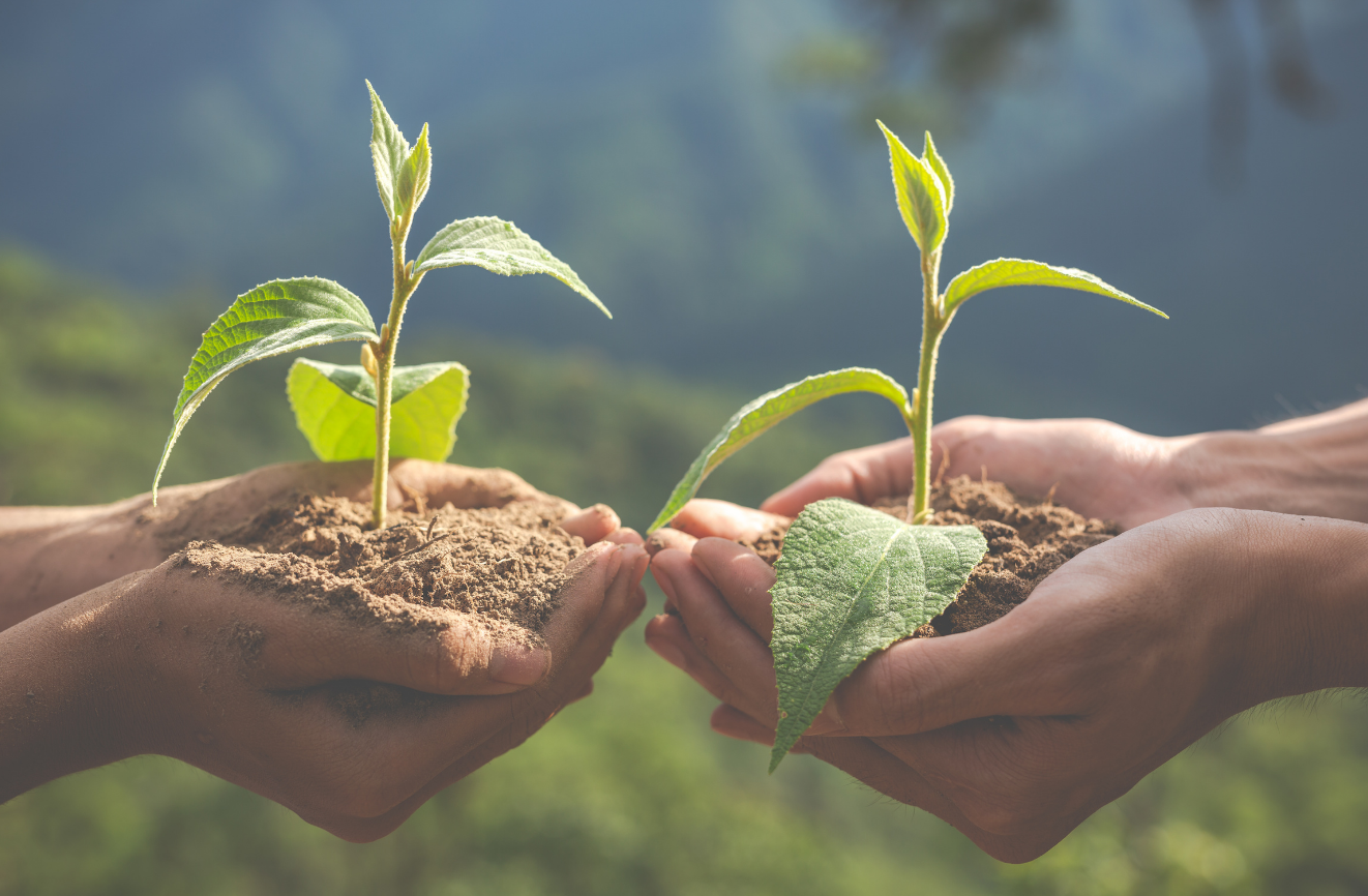 Sustentabilidade e meio ambiente, áreas de trabalho requisitadas