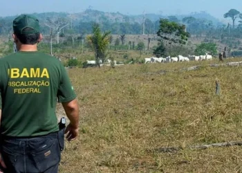 Fiscal do IBAMA em campo, realizando fiscalização ambiental em área rural.