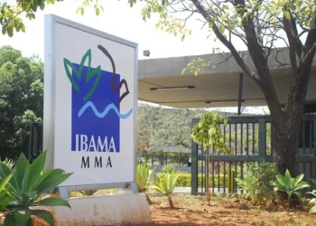 Logotipo do IBAMA em frente ao edifício do órgão, representando o concurso 2021
