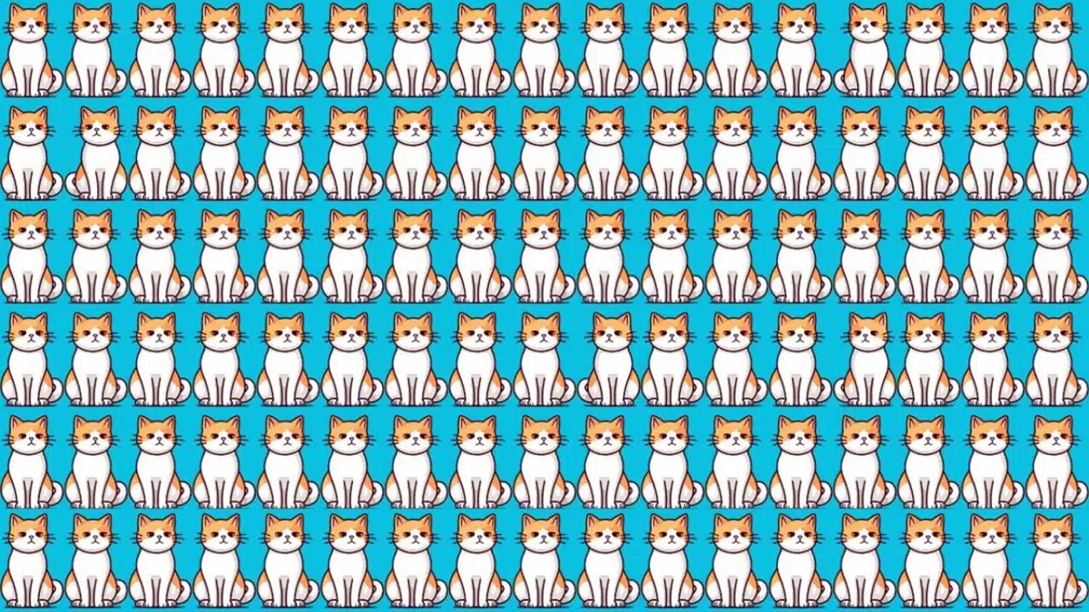 Imagem com uma série de gatos desenhados em estilo cartoon, todos sentados em frente a um fundo azul. A imagem é composta por várias fileiras de gatos com um padrão repetitivo, criando um desafio visual.