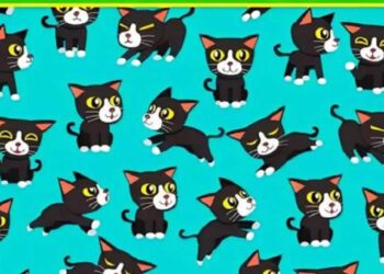 Desafio visual com vários gatinhos pretos em diferentes posições sobre um fundo azul.