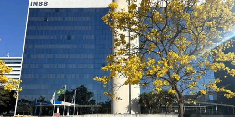 Fachada do prédio do INSS com ipê amarelo florido em primeiro plano