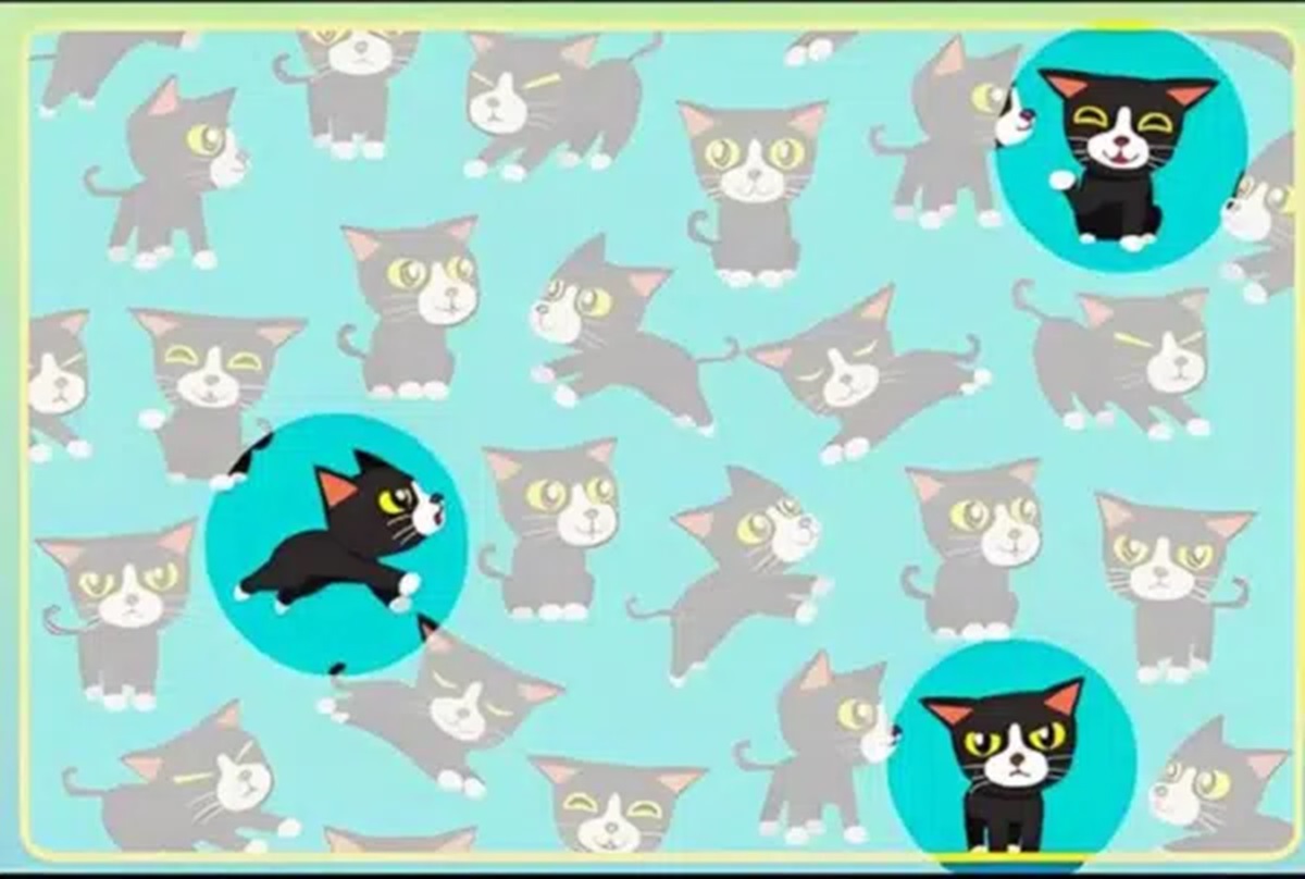 Solução do desafio visual com vários gatinhos pretos em diferentes posições sobre um fundo azul.