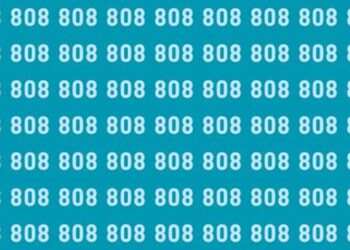Teste de QI com imagem de números "808" repetidos, com um número "888" oculto entre eles.