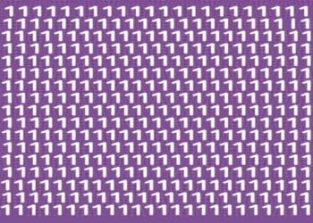 Desafio visual: encontre o caractere diferente entre vários números 1.