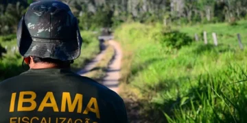 Fiscalização do Ibama em área de preservação ambiental.