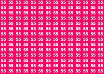 Teste de QI com vários números 55 em fundo rosa com um número 65 escondido entre eles