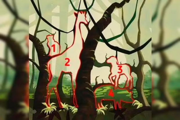 Solução do desafio visual com ilustração de uma floresta enigmática com árvores torcidas e formas ocultas que lembram animais.