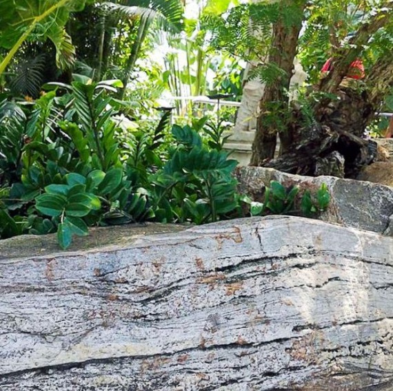 Borboleta camuflada entre folhas e troncos em um jardim natural