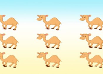 Desafio visual com nove camelos ilustrados, com pequenas diferenças entre eles