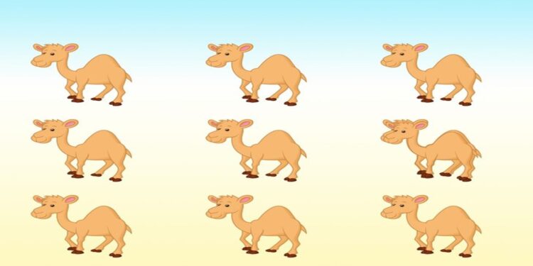 Desafio visual com nove camelos ilustrados, com pequenas diferenças entre eles