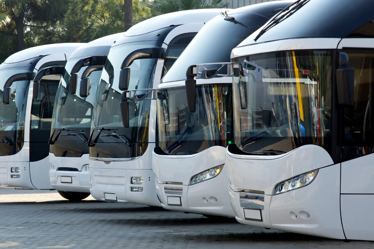Linha de ônibus modernos estacionados lado a lado em área Aberta