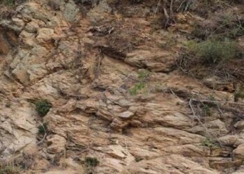 Teste de QI com imagem de uma formação rochosa com vegetação esparsa, onde um cervo está camuflado