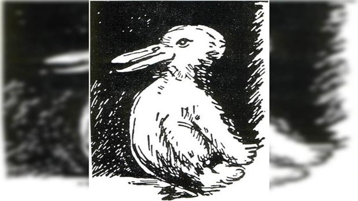 Ilustração clássica de ilusão de ótica mostrando um desenho que pode ser visto como um pato ou um coelho, desafiando a percepção visual.