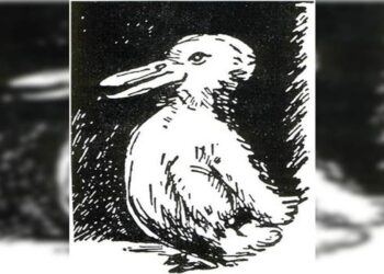Teste de QI com uma ilustração clássica de ilusão de ótica mostrando um desenho que pode ser visto como um pato ou um coelho, desafiando a percepção visual.