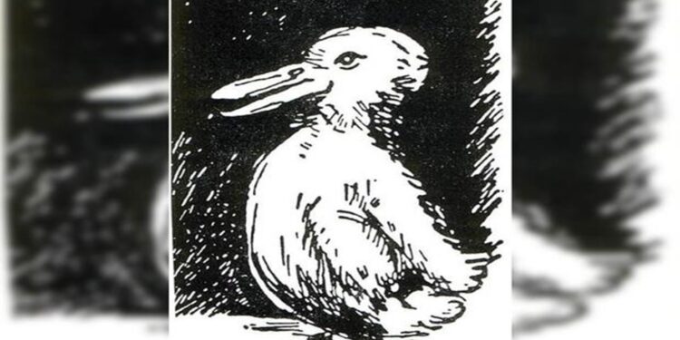 Teste de QI com uma ilustração clássica de ilusão de ótica mostrando um desenho que pode ser visto como um pato ou um coelho, desafiando a percepção visual.