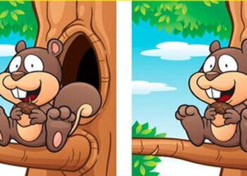 Teste de QI com duas ilustrações de um esquilo, destacando cinco diferenças entre as duas imagens