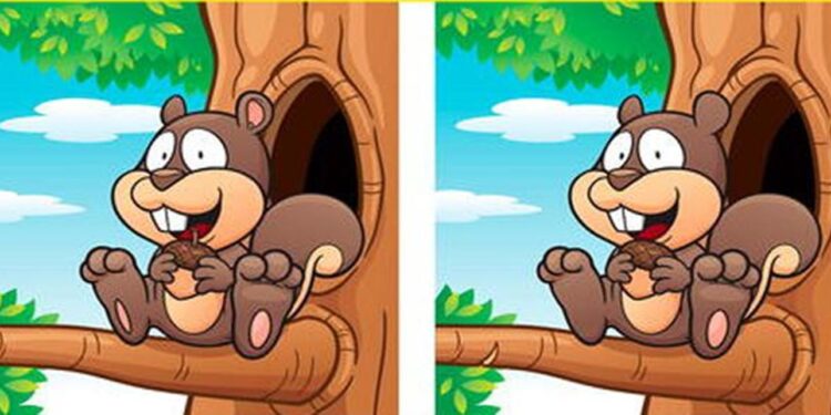Teste de QI com duas ilustrações de um esquilo, destacando cinco diferenças entre as duas imagens