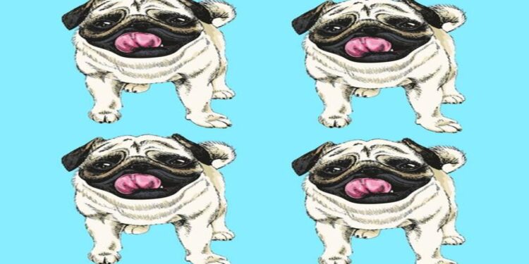 Ilustração de quatro cães pugs idênticos sobre fundo azul em desafio visual