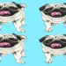 Ilustração de quatro cães pugs idênticos sobre fundo azul em desafio visual