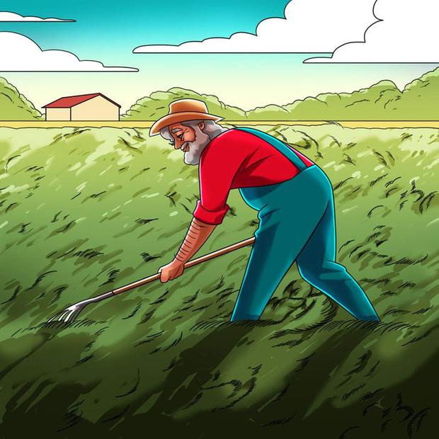 Teste de QI com um homem idoso trabalhando no campo com um rosto escondido.