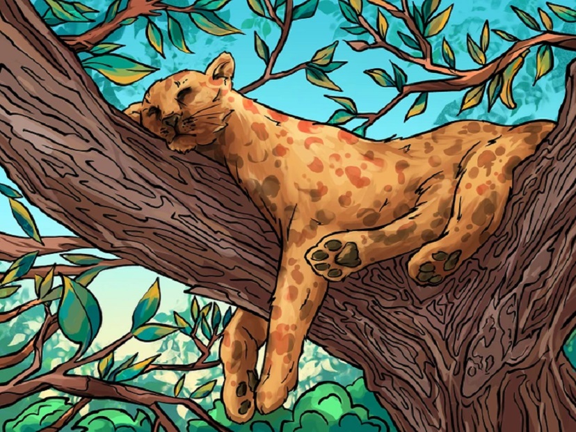 Desafio visual com uma onça pintada descansando sobre um galho de árvore com folhas verdes.