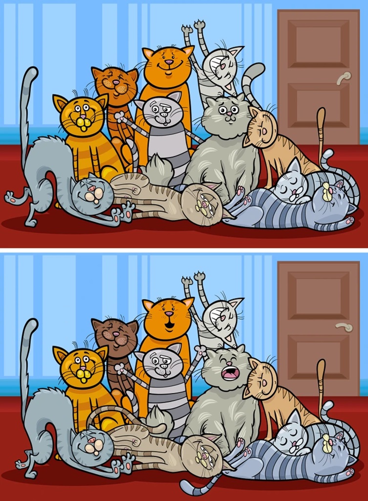 Teste visual com dois quadros de gatos para desafio de encontrar diferenças