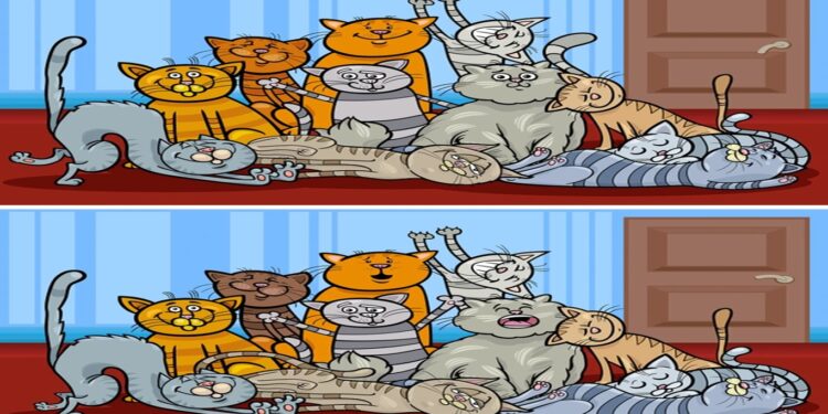 Teste visual com dois quadros de gatos para desafio de encontrar diferenças