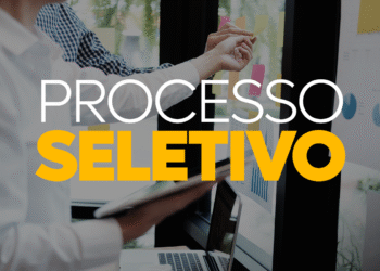 Pessoas em reunião, analisando dados, com a sobreposição de texto "Processo Seletivo", ilustrando a seleção de candidatos para o IBGE.