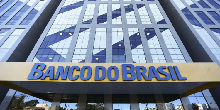 Diploma de tecnólogo em concurso público: cargos e editais que aceitam a formação em 2026
